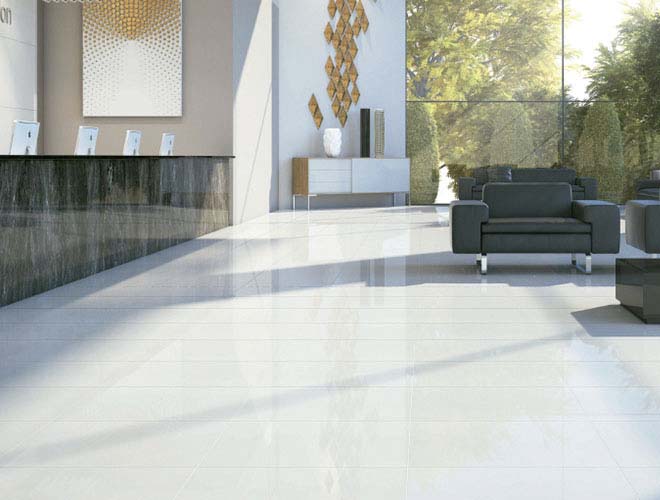 Porcellanato Pulido