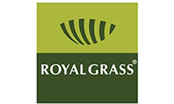 Showroom Estilo Summit