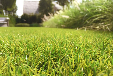 Cesped Sintético Premium