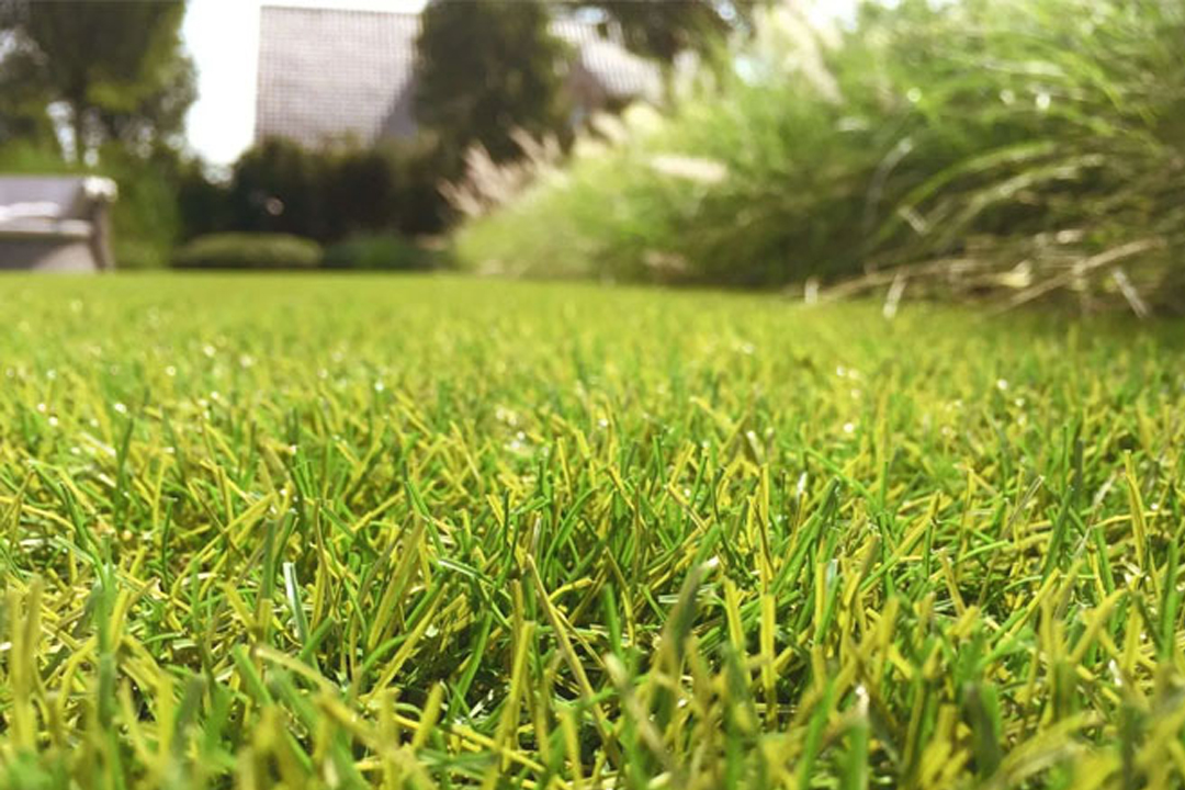 Cesped Sintético Premium